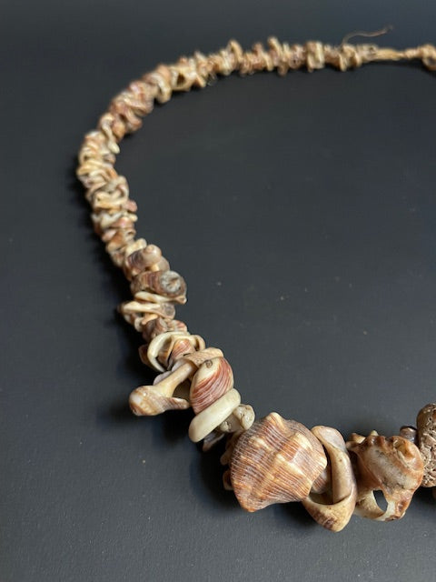 Long shell necklace from Papua New Guinea