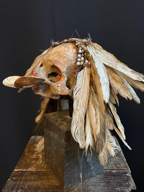 Asmat ancestor skull with bipane from West Papua