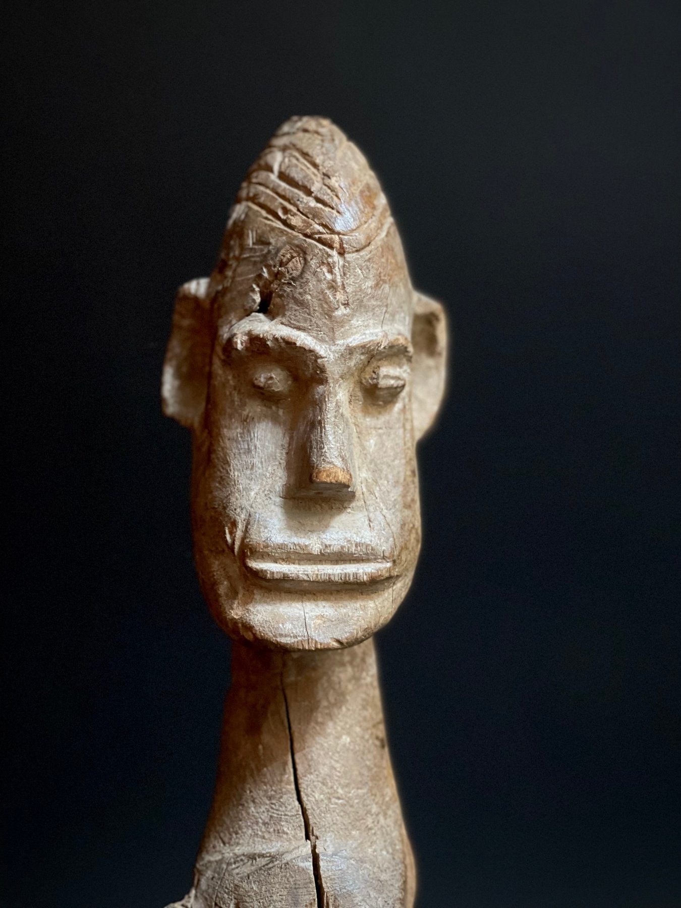 Hampatong van de Dayak uit Borneo