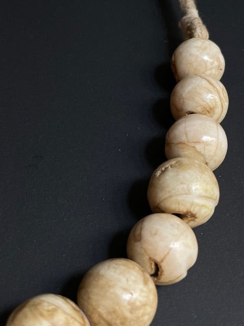 Fossil conch shell necklace from Nepal 