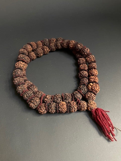 Long rudraksha mala from India